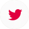 Condividi su Twitter